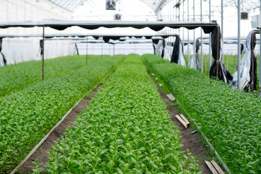 Similar image 21735122