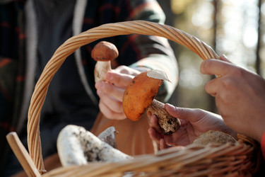 Similar image 21732339