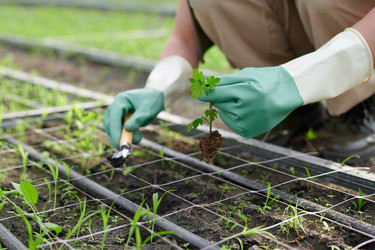 Similar image 21732512