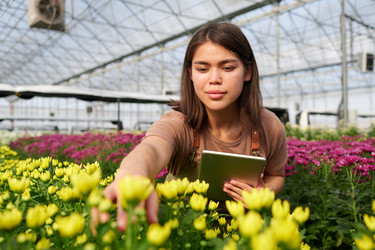 Similar image 21738187