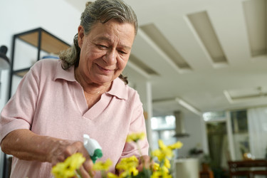 Similar image 21725421