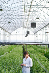 Similar image 21727728