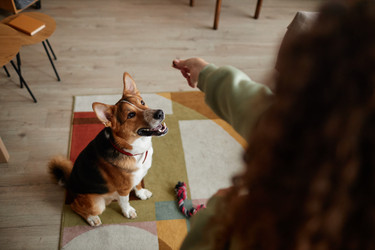 Similar image 21743002