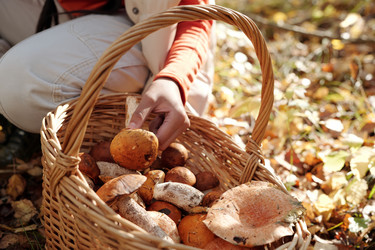 Similar image 21735554