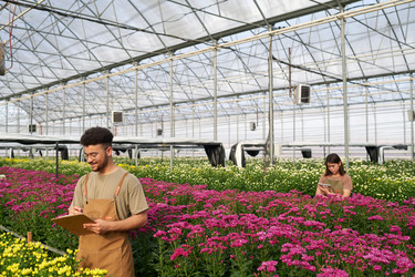 Similar image 21731167