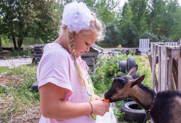 Similar image 21786758