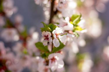 Similar image 21775062