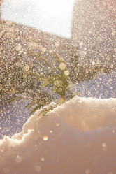 Similar image 21775083