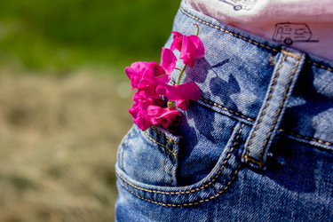 Similar image 21775064