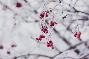 Similar image 21775065