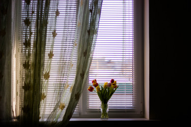 Similar image 21775067