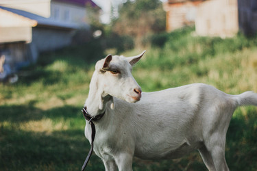 Similar image 21775069