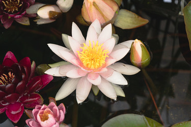 Similar image 21768518