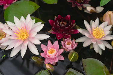 Similar image 21768519