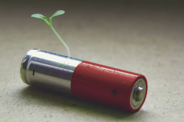 Similar image 21779549