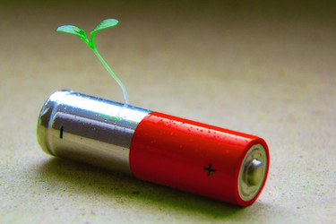 Similar image 21779553