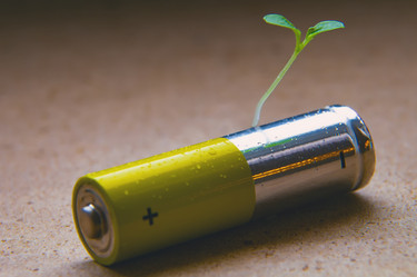 Similar image 21779554