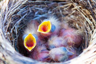 Similar image 21779558