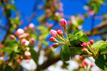 Similar image 21779561