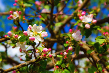 Similar image 21779562