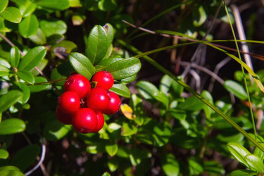 Similar image 21779580