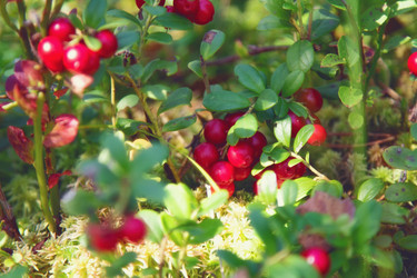 Similar image 21779581