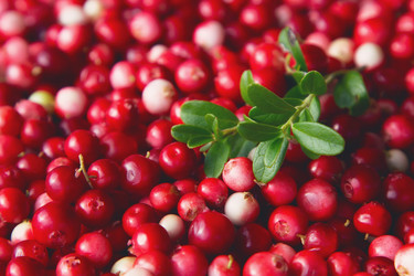 Similar image 21779583