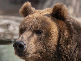 Similar image 21770944