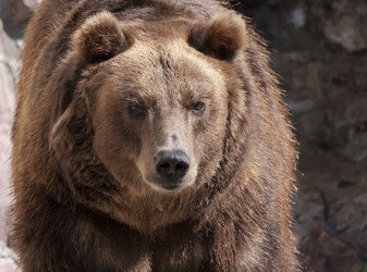 Similar image 21770945