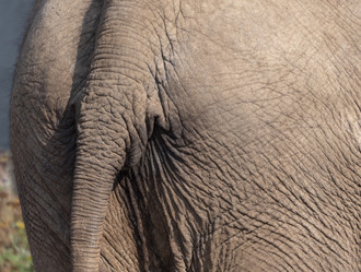 Similar image 21770545