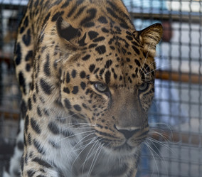 Similar image 21770547