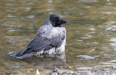 Similar image 21770748