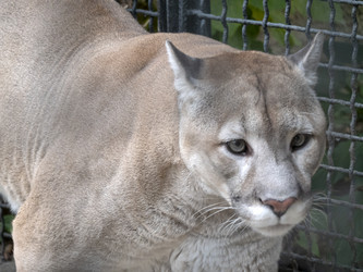 Similar image 21770751