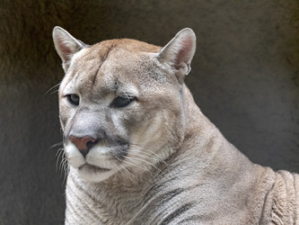 Similar image 21770152