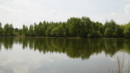 Similar image 21770961