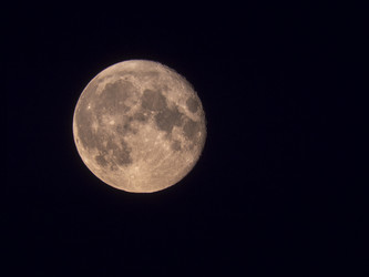 Similar image 21770966