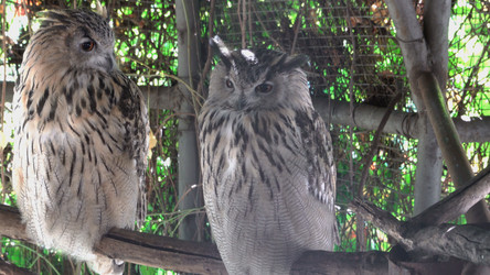 Similar image 21769927