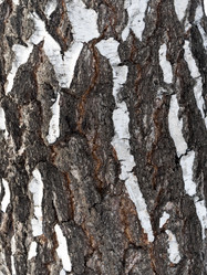 Similar image 21770158