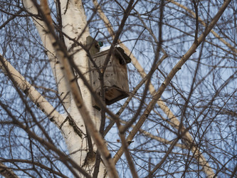 Similar image 21770165