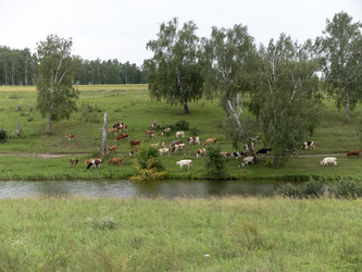 Similar image 21770167