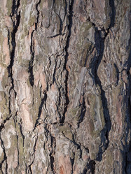 Similar image 21770168