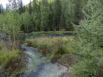 Similar image 21770171