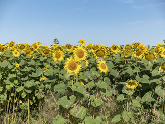 Similar image 21770177