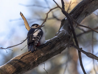 Similar image 21770344