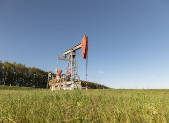 Similar image 21770345