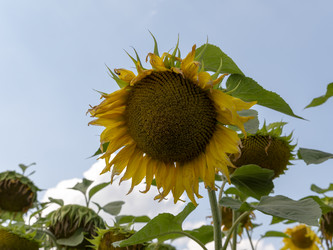 Similar image 21770975