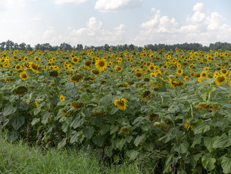 Similar image 21770976