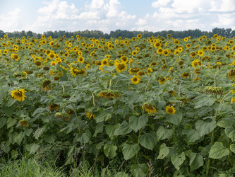 Similar image 21770978