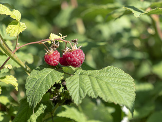 Similar image 21770980