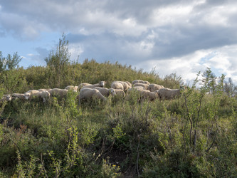 Similar image 21771239